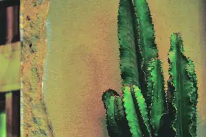 Barro Negro mezcal bar in Athens