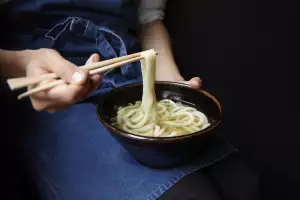 Koya Udon