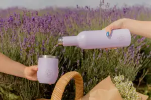 Insulated wine bottle and tumbler, Partner in Wine