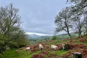 The walk to Table Mountain, Crickhowell