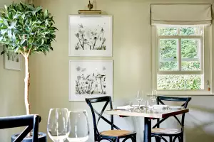 Inside The Walnut Tree