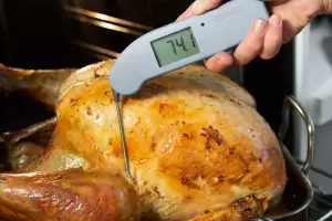 Thermapen's ONE Thermometer