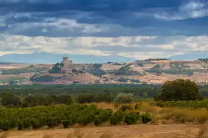 Ribera del Duero wine