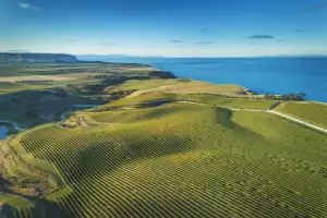 Yealands Seaview Vineyard