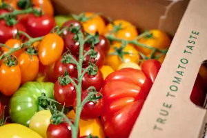 IOW Tomatoes