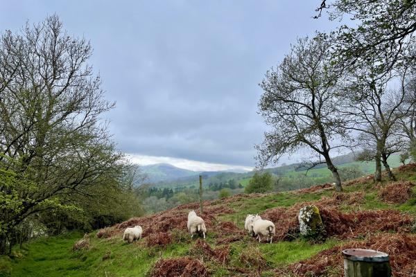 The walk to Table Mountain, Crickhowell The walk to Table Mountain, Crickhowell