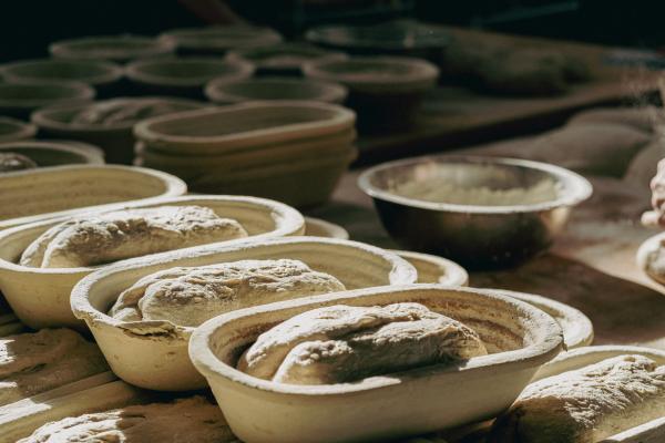 Sourdough loaves prooving
