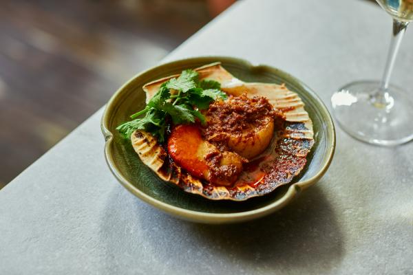 Kolae scallop