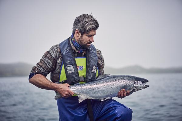 A salmon from the farm A salmon from the farm