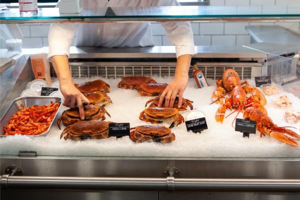 Arranging a crustacean display Arranging a crustacean display