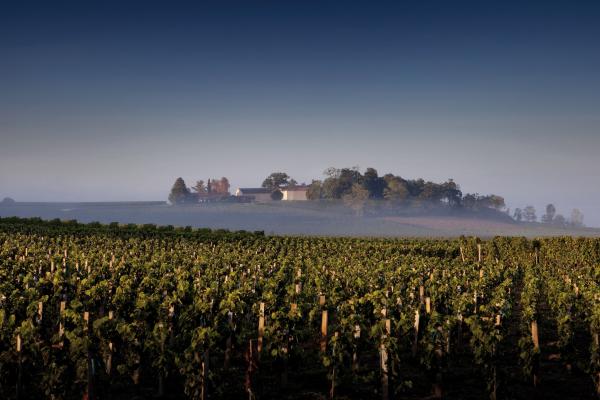 Château Quintus