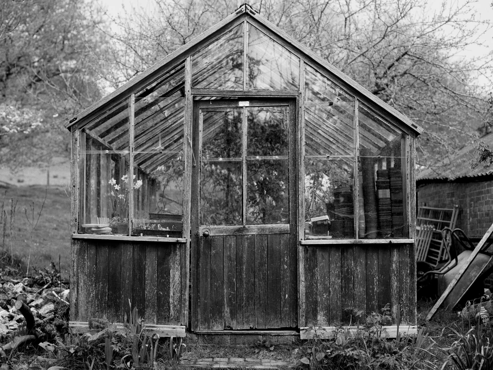 A greenhouse on the farm in Dorset