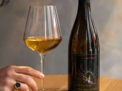 Firebird's wine list champions small, natural and biodynamic producers across Europe