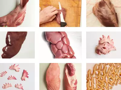 Different cuts of offal captured in Offcuts magazine