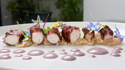 Octopus olivo