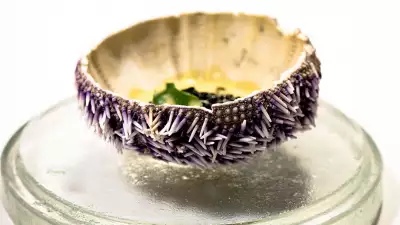 An example of the New Nordic cuisine