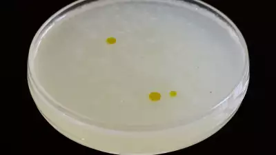 The Spectre martini