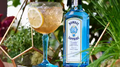 One Bombay Sapphire's Ultimate Gin & Tonic Twists