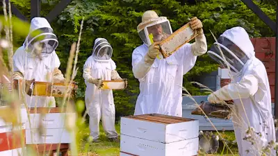 Hive Honey Shop