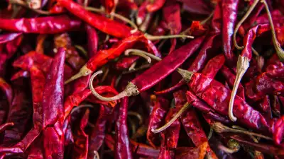 Mexico's fine-dining food scene