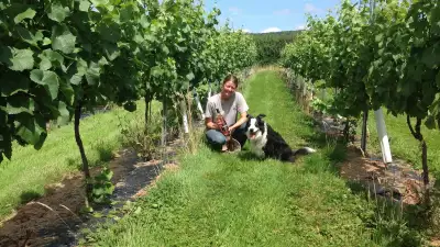 Dunleavy Vineyards