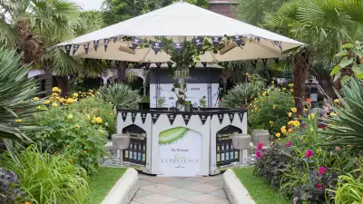 Telegraph Gin Experience