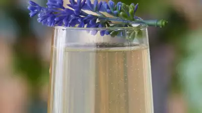The Botanist gin's Botanist Fizz cocktail