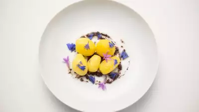 A vegetable course at L'Arp&egrave;ge
