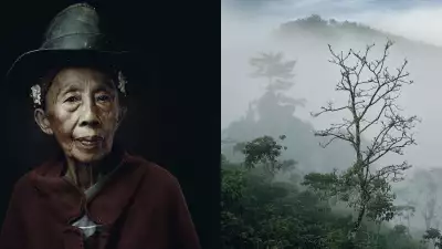 The branches of a plant superimpose into the wrinkles of the face of a woman who has always grown coffee