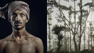 The disparate nature of the forest — where the coffee plant grows amidst an infinite number of other trees — can be found in the features and hues of a young man’s face, which blends diverse origins and provenances.