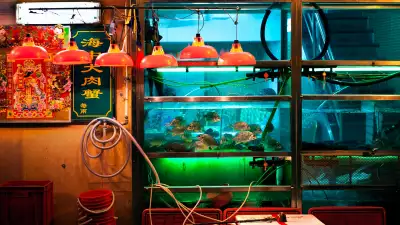 Fish tanks and lights outside one of Macau's seafood restaurants