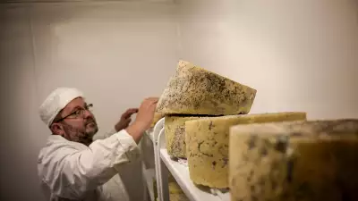 New-school cheese: Wildes