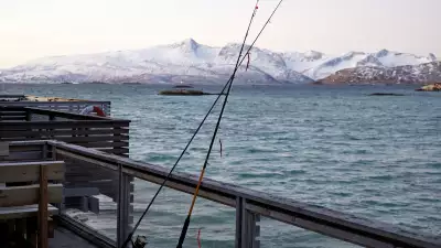 Sommar&oslash;y, in northern Norway