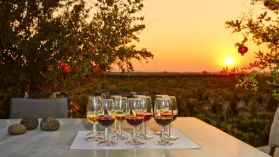Glasses of volcanic wine on a table with the sun setting in the background over Santorini's vineyards