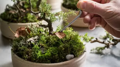 Ingredients for Simon Rogan's dishes at Aulis are grown on Our Farm, a small, technical farming operation a mile or so away from the restaurant