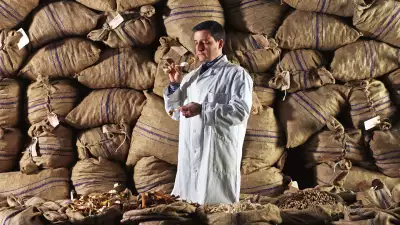 Ivano Tonutti, botanist at Bombay Sapphire