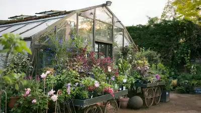Petersham Nurseries