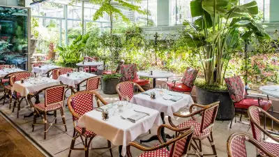 The Ivy City Garden