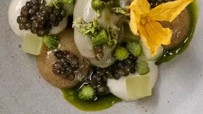 Rock oyster, oscietra caviar, cucumber and kiwi