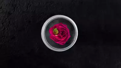 Rose dish from Rigo