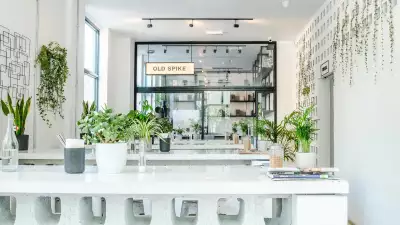 Spike + Earl interior