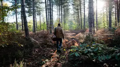 Mushroom forager