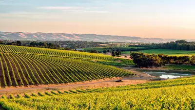 McLaren Vale, South Australia wine growing region