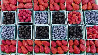 Meet London's food fixers; Photograph by Getty Images
