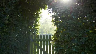 Chapel Down herb garden