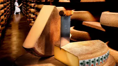Jura's Comt&eacute; aging cellars