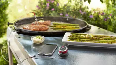 iGrill by Weber