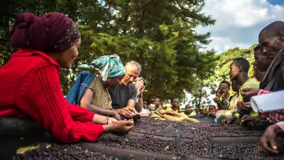 Beans being sorted by hand on one of Union Hand Roasted's sourcing trips to Ethiopia