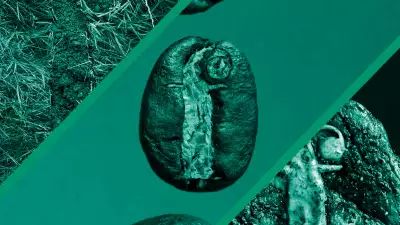 The Foodist: sustainability special