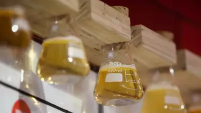 Camden Town Brewery